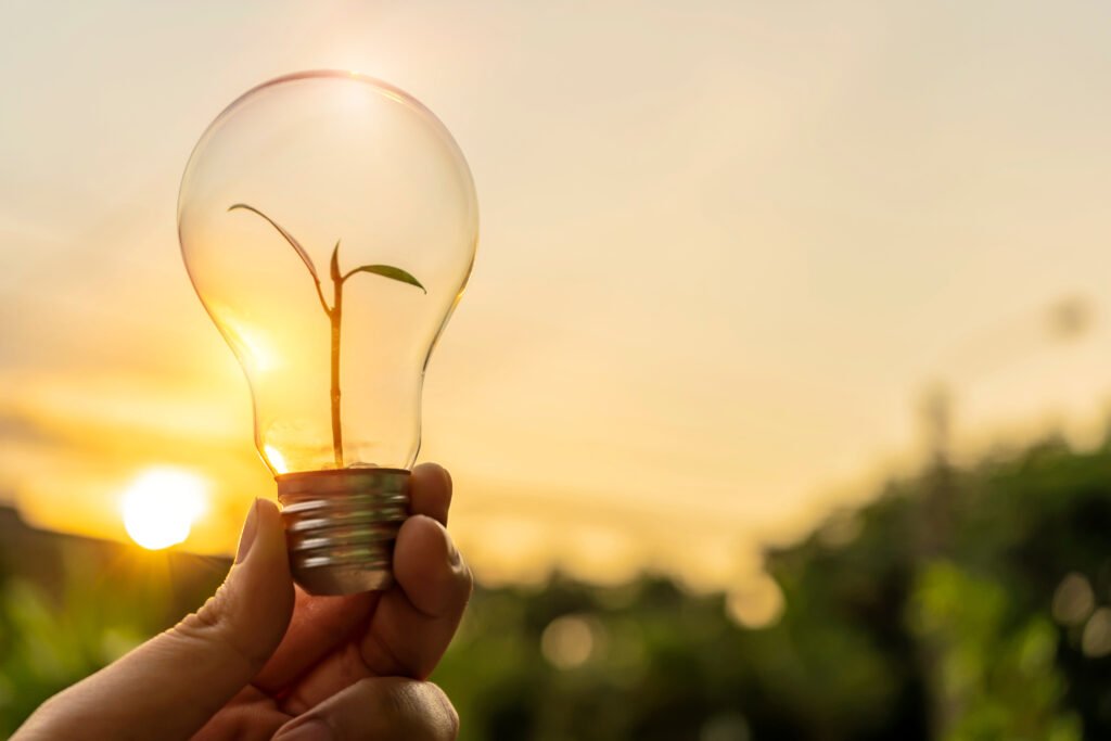 A lightbulb with a growing plant symbolising energy efficiency and green building solutions in Ghanaian architecture